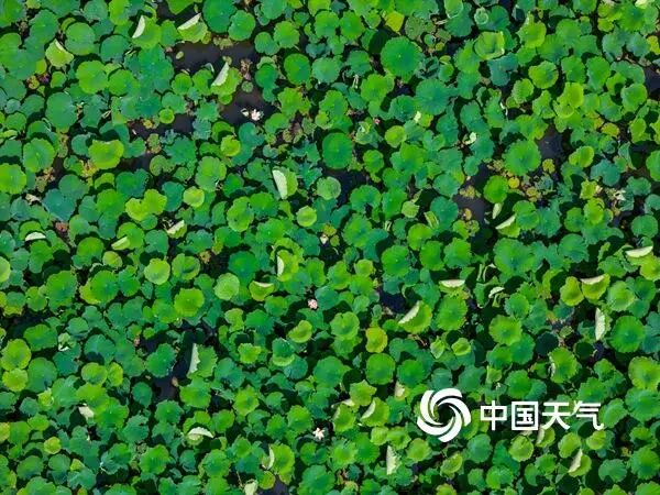 跟着语文课本赴一场山河之约 全国暑期亲子游地图新鲜出炉 跟着语文课本赴一场山河之约 全国暑期亲子游地图新鲜出炉