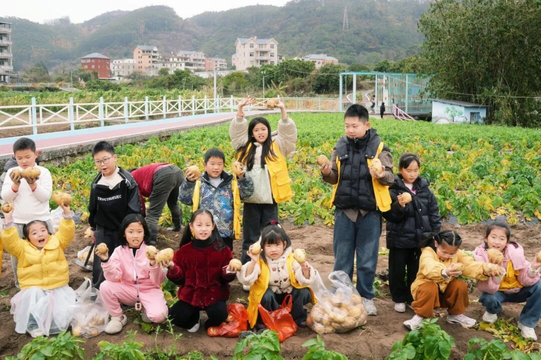 把课堂搬到田野间:周店村的童心研学之旅收获满筐 把课堂搬到田野间:周店村的童心研学之旅收获满筐