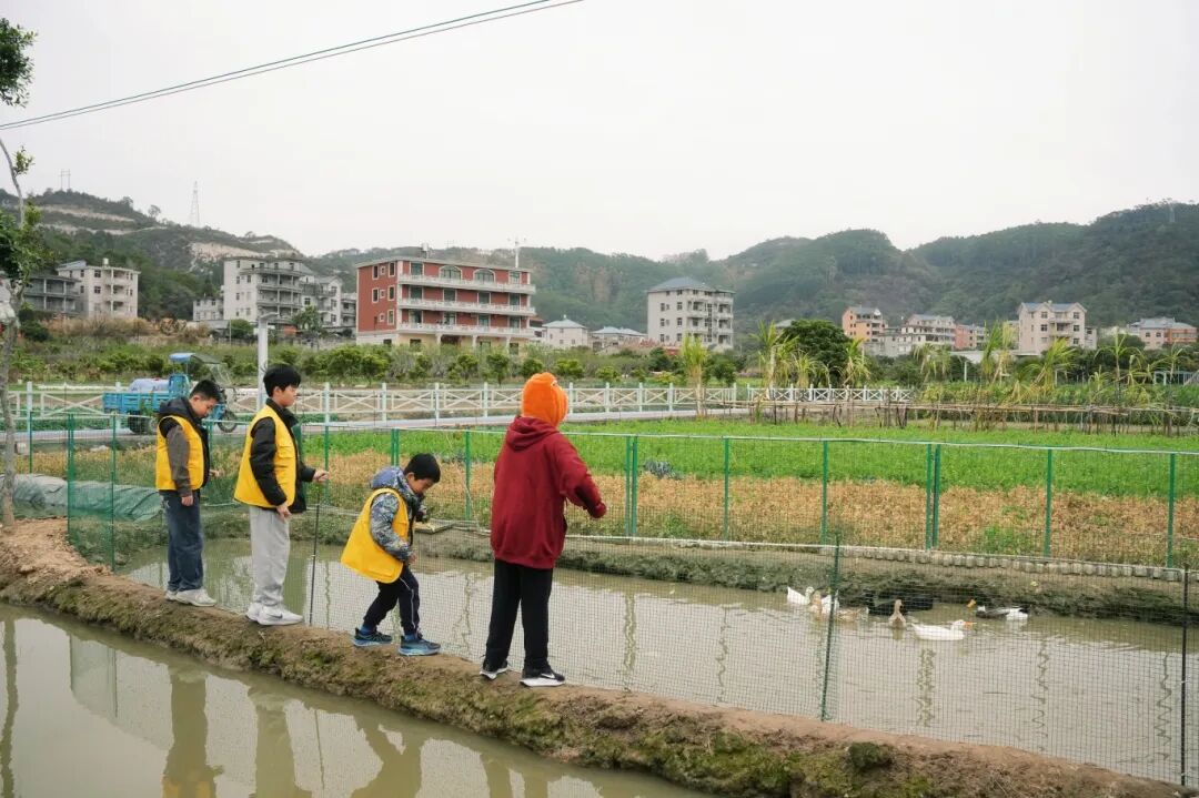 把课堂搬到田野间:周店村的童心研学之旅收获满筐 把课堂搬到田野间:周店村的童心研学之旅收获满筐