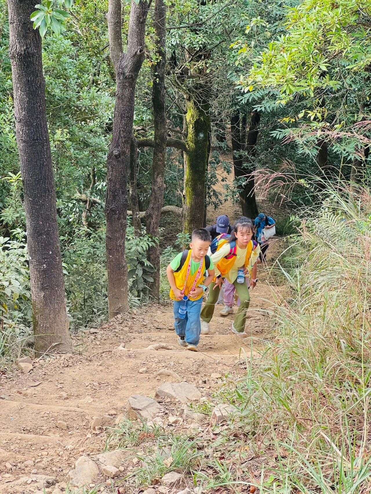 把课堂搬进山野:用一场徒步研学,解锁孩子的生命力 把课堂搬进山野:用一场徒步研学,解锁孩子的生命力