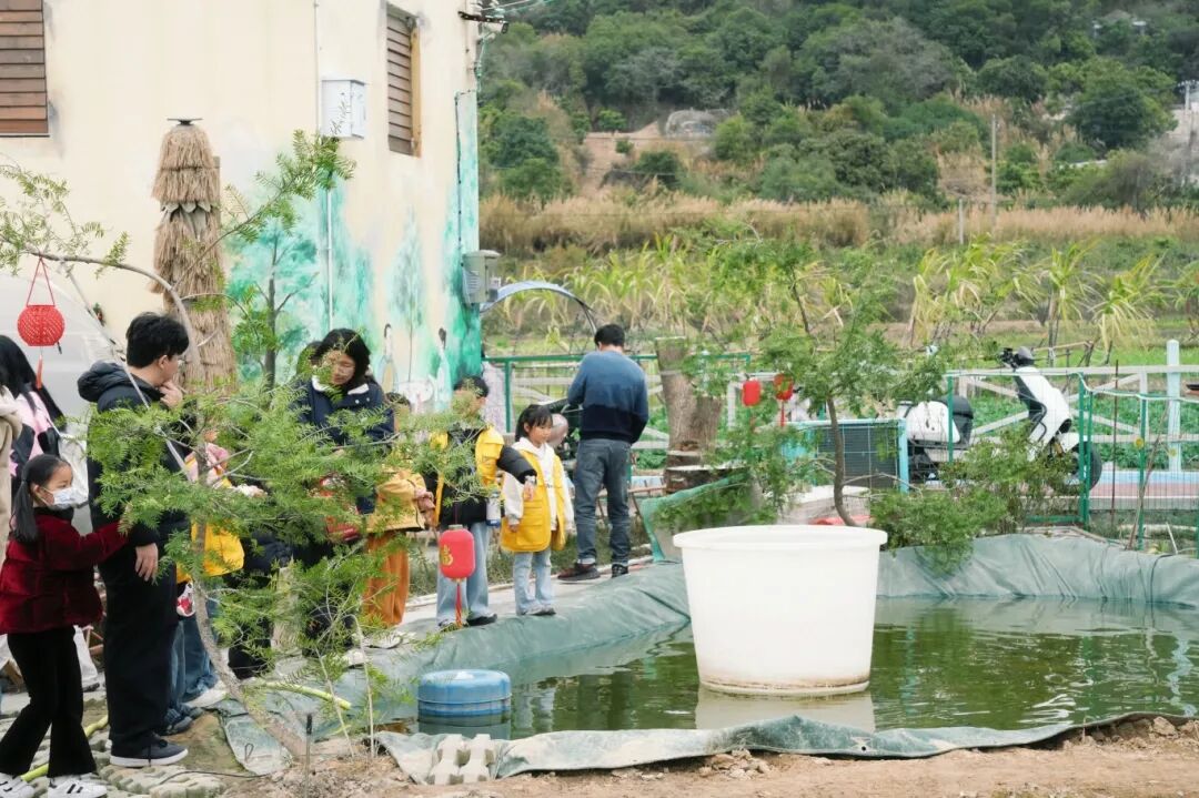 把课堂搬到田野间:周店村的童心研学之旅收获满筐 把课堂搬到田野间:周店村的童心研学之旅收获满筐