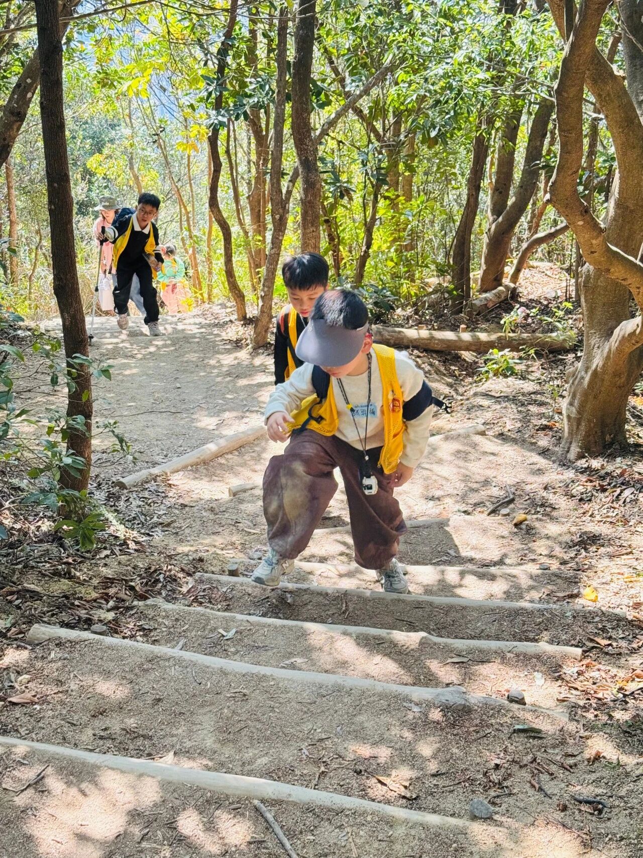 把课堂搬进山野:用一场徒步研学,解锁孩子的生命力 把课堂搬进山野:用一场徒步研学,解锁孩子的生命力
