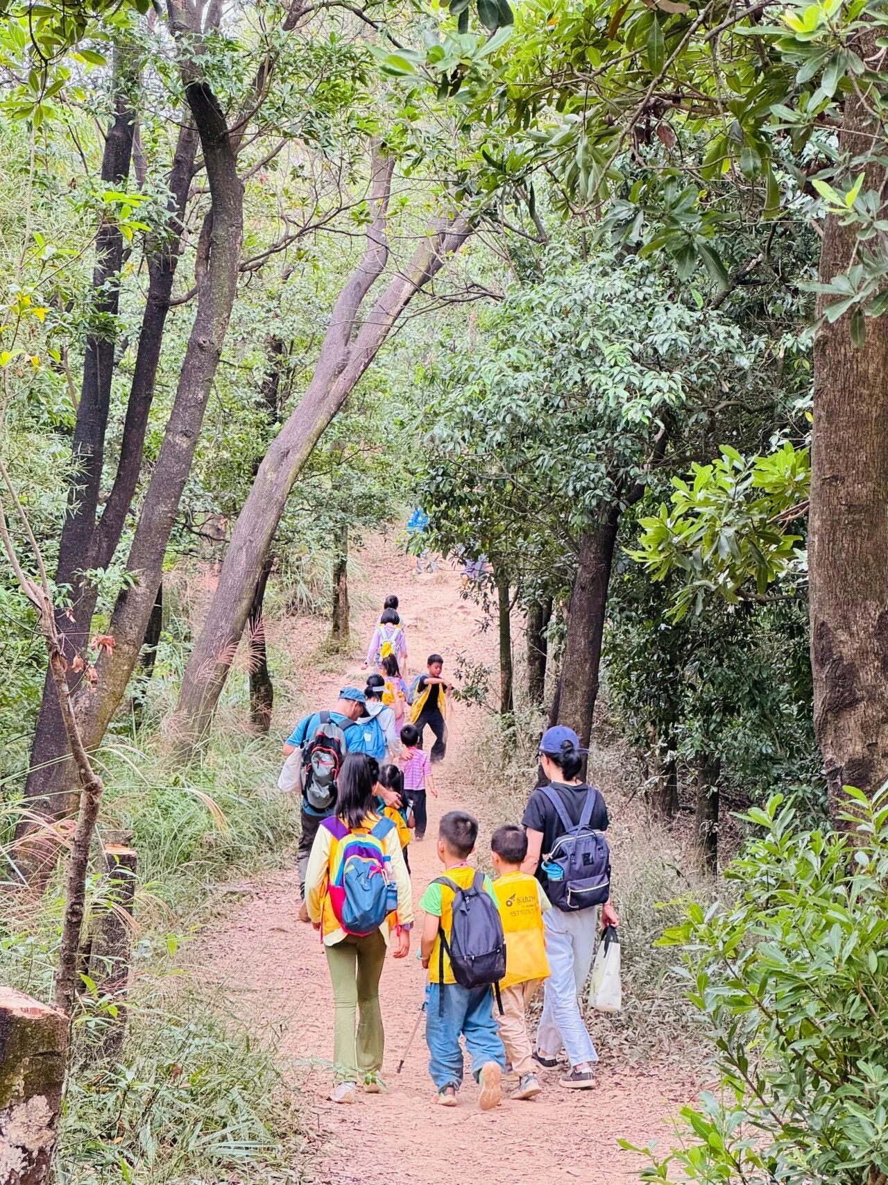 把课堂搬进山野:用一场徒步研学,解锁孩子的生命力 把课堂搬进山野:用一场徒步研学,解锁孩子的生命力