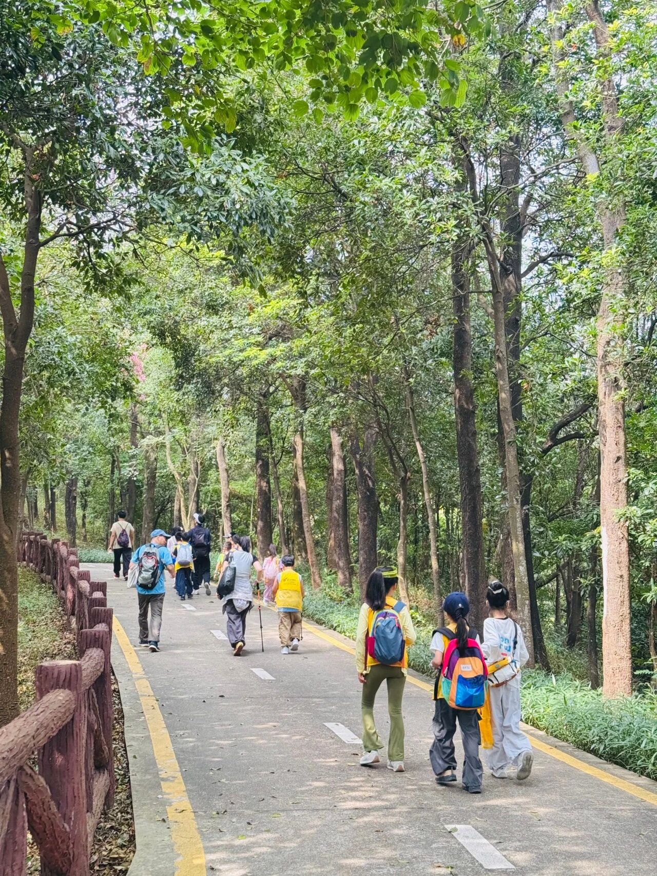 把课堂搬进山野:用一场徒步研学,解锁孩子的生命力 把课堂搬进山野:用一场徒步研学,解锁孩子的生命力