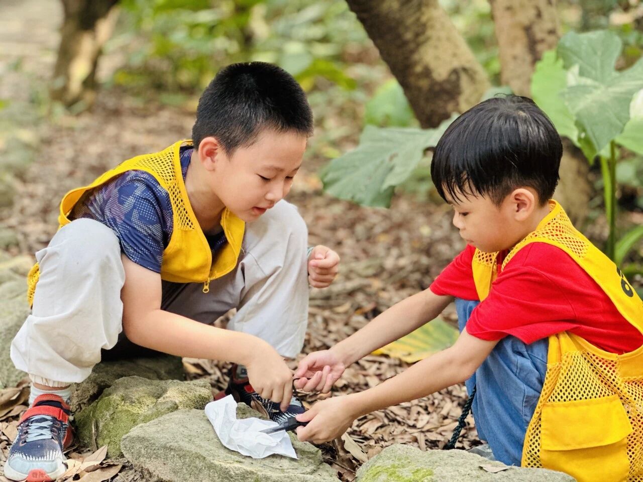 把课堂搬进山野:用一场徒步研学,解锁孩子的生命力 把课堂搬进山野:用一场徒步研学,解锁孩子的生命力