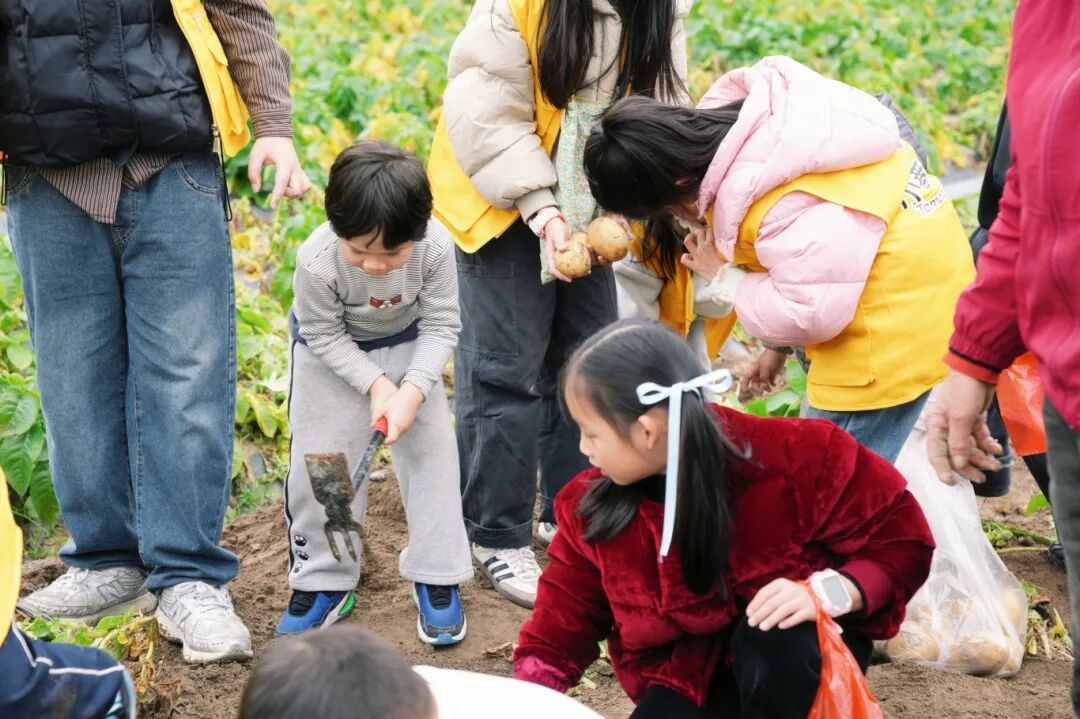 把课堂搬到田野间:周店村的童心研学之旅收获满筐 把课堂搬到田野间:周店村的童心研学之旅收获满筐