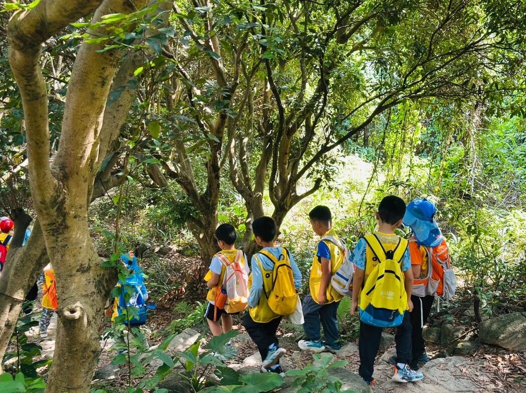 把课堂搬进山野:用一场徒步研学,解锁孩子的生命力 把课堂搬进山野:用一场徒步研学,解锁孩子的生命力