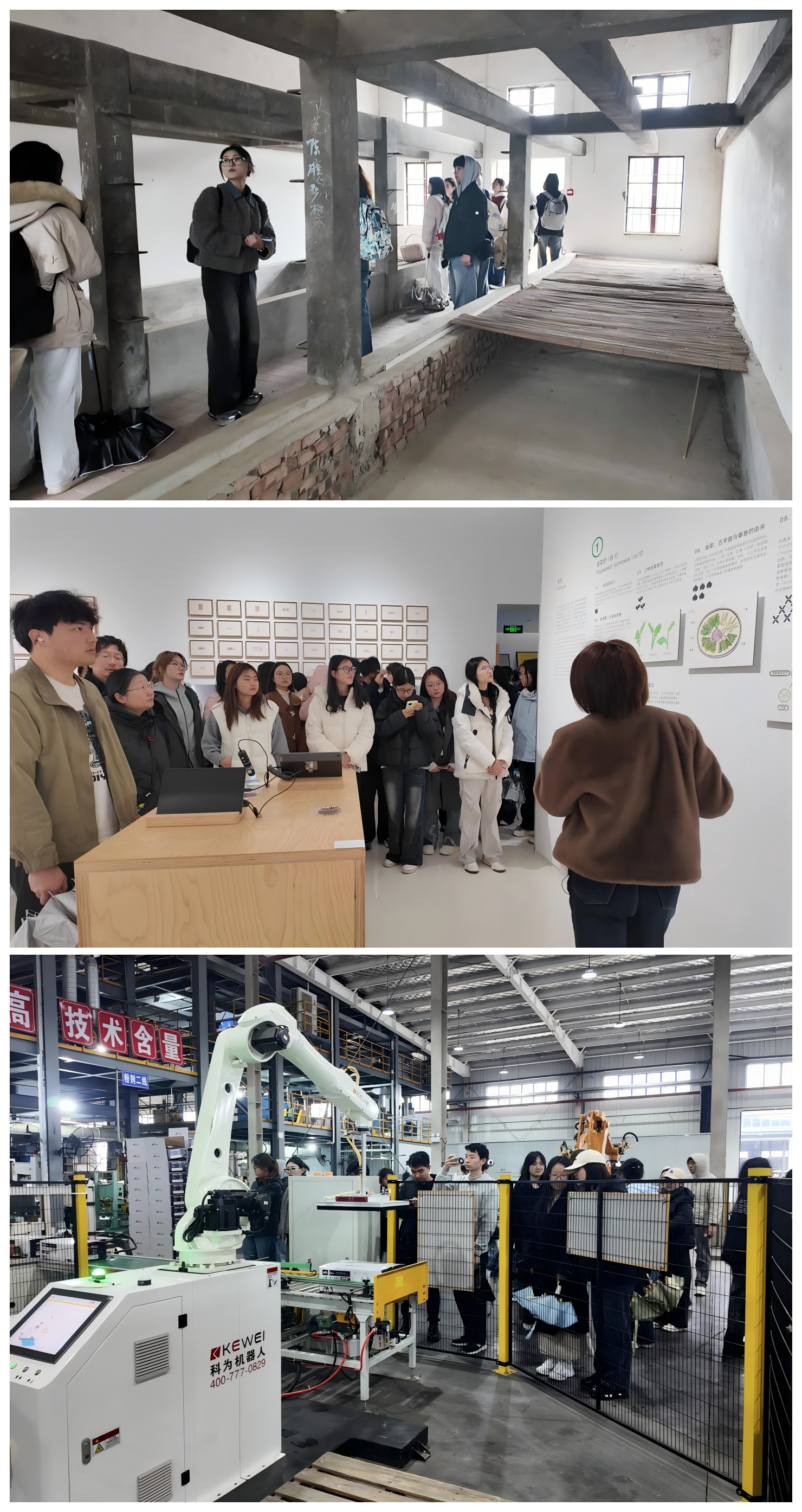 花韵・探春｜百名高校学子走进沙洋，共赴2026年湖北油菜花节研学之约