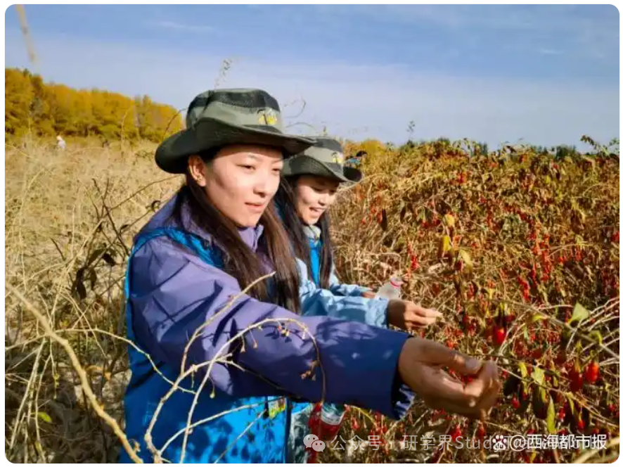 同比增长405.05%！青海累计接待研学游客突破30万人次