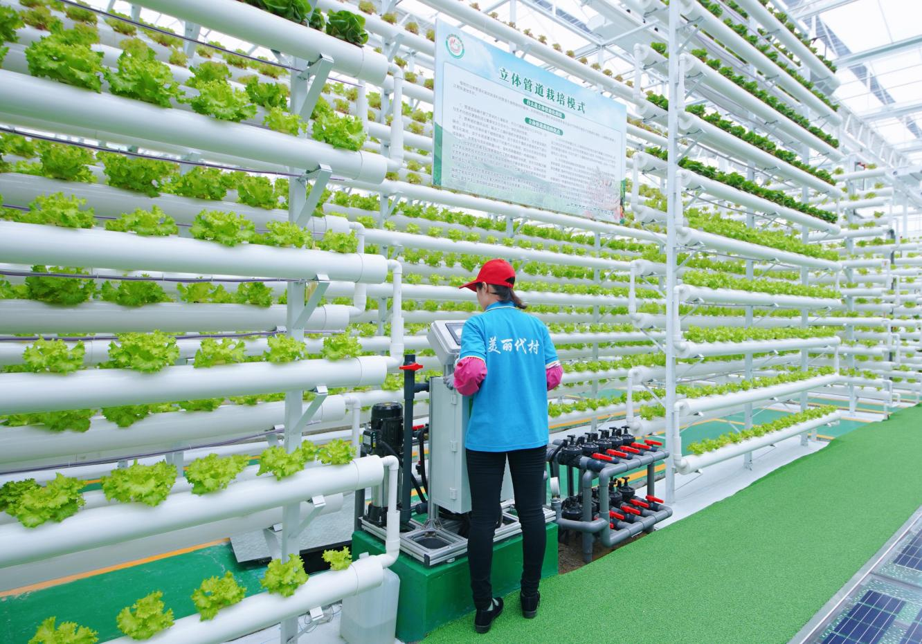 覆盖全省16市、110个科技研学基地！科创主题研学游地图来啦