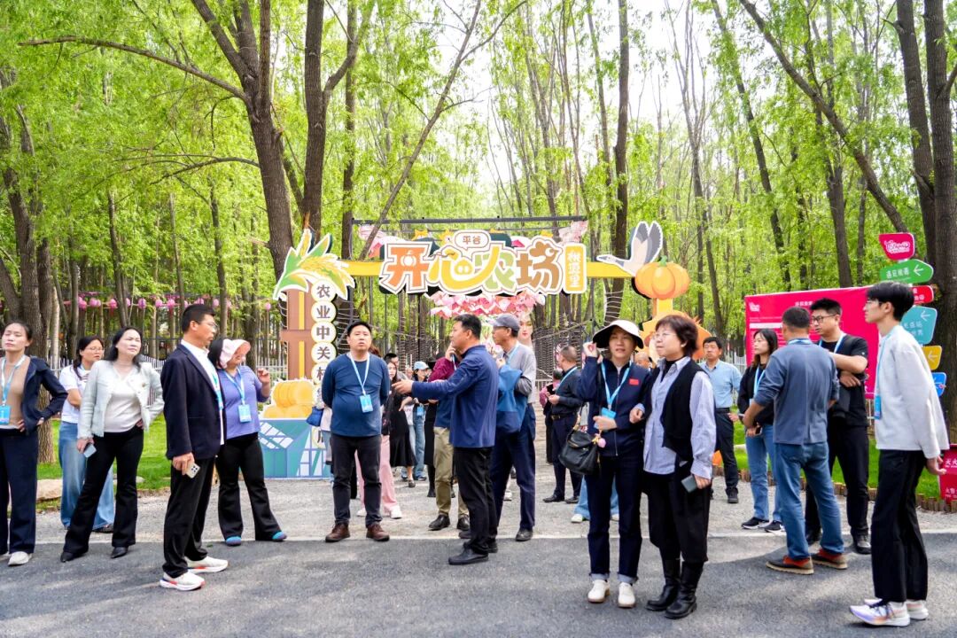 新时代研学旅游赋能乡村振兴交流会举办，北京市平谷区研学产业链联盟成立