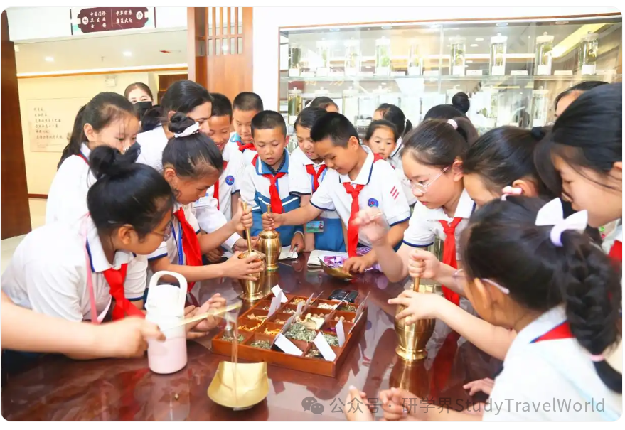 小小李时珍上线！新疆这场中医药研学太有趣了