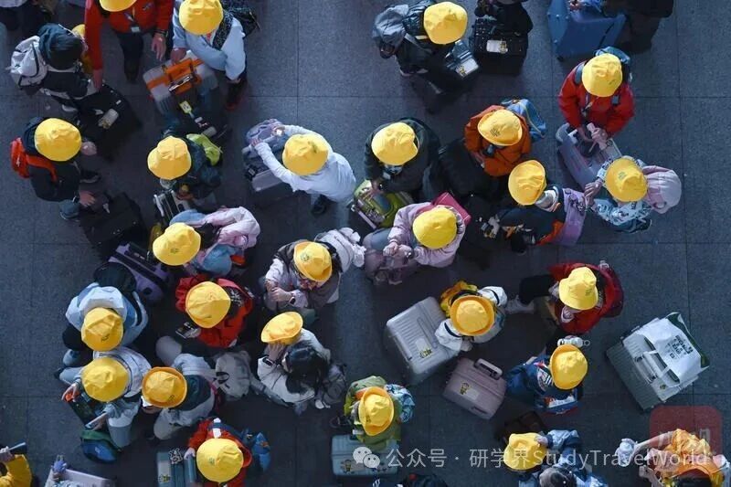 武汉小学生喊话 “恢复研学”，一句话戳中行业真相