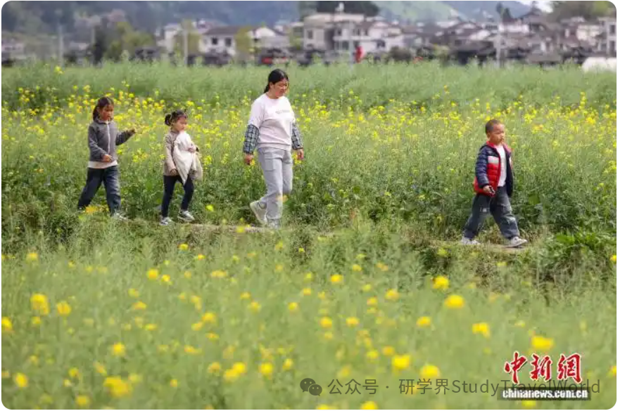 春假邂逅清明小长假 “行走的课堂”带火亲子研学游