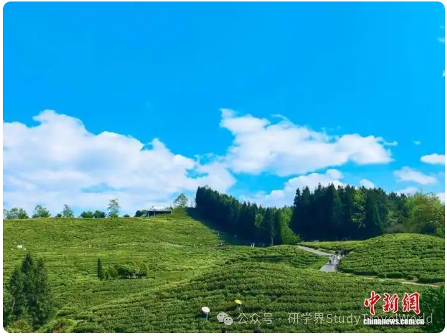 春假邂逅清明小长假 “行走的课堂”带火亲子研学游