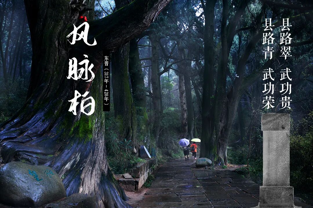 广元翠云廊宝藏研学资源!7 大植柏历史 + 千年古柏,可直接开发精品线路 广元翠云廊宝藏研学资源!7 大植柏历史 + 千年古柏,可直接开发精品线路