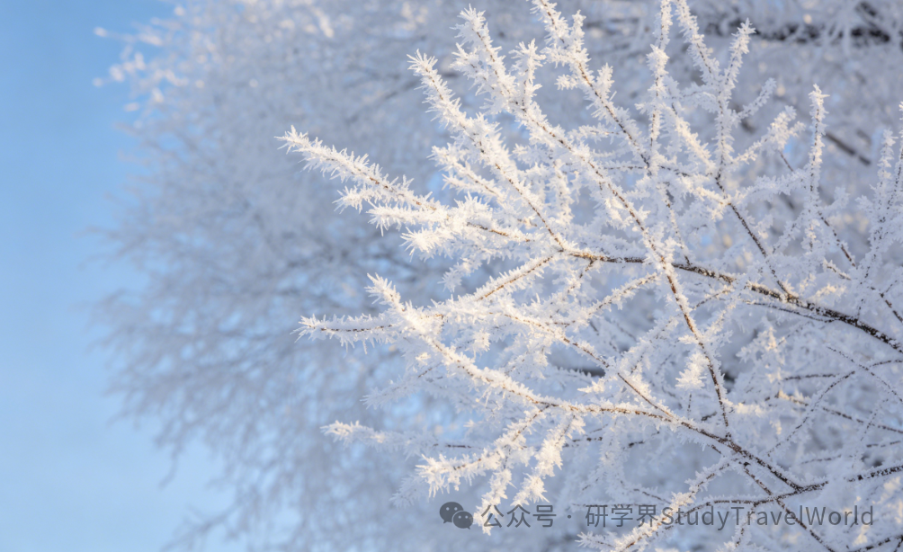 鼓励对研学团队进行门票减免!省级最新研学政策亮了 鼓励对研学团队进行门票减免!省级最新研学政策亮了