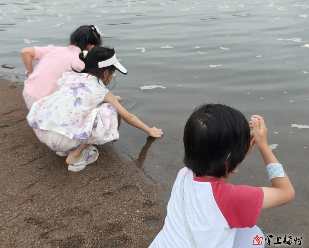 博士带你丈量韩江！韩江干流源头水生态环境修复研学活动纪实