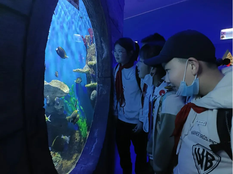 踏青丨花草香，少年游，春日研学正当时